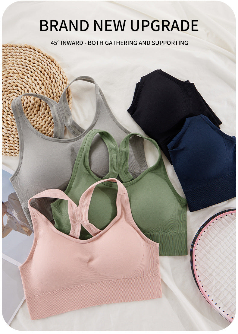 Women's Plus Size Sports Bra